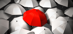 Guarantee Insurance